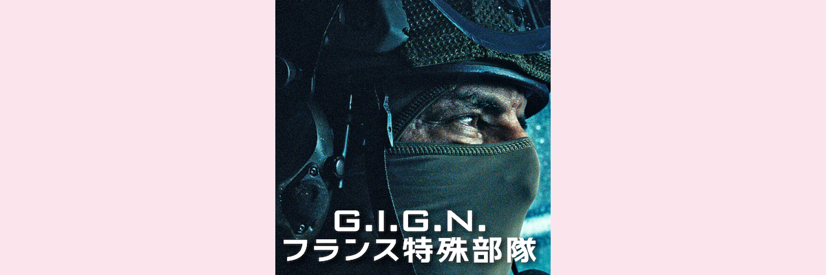 『G. I. G. N. フランス特殊部隊』吹き替え声優一覧